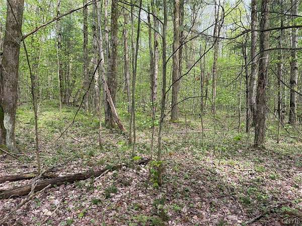 6.2 Acres of Land for Sale in South Dayton, New York