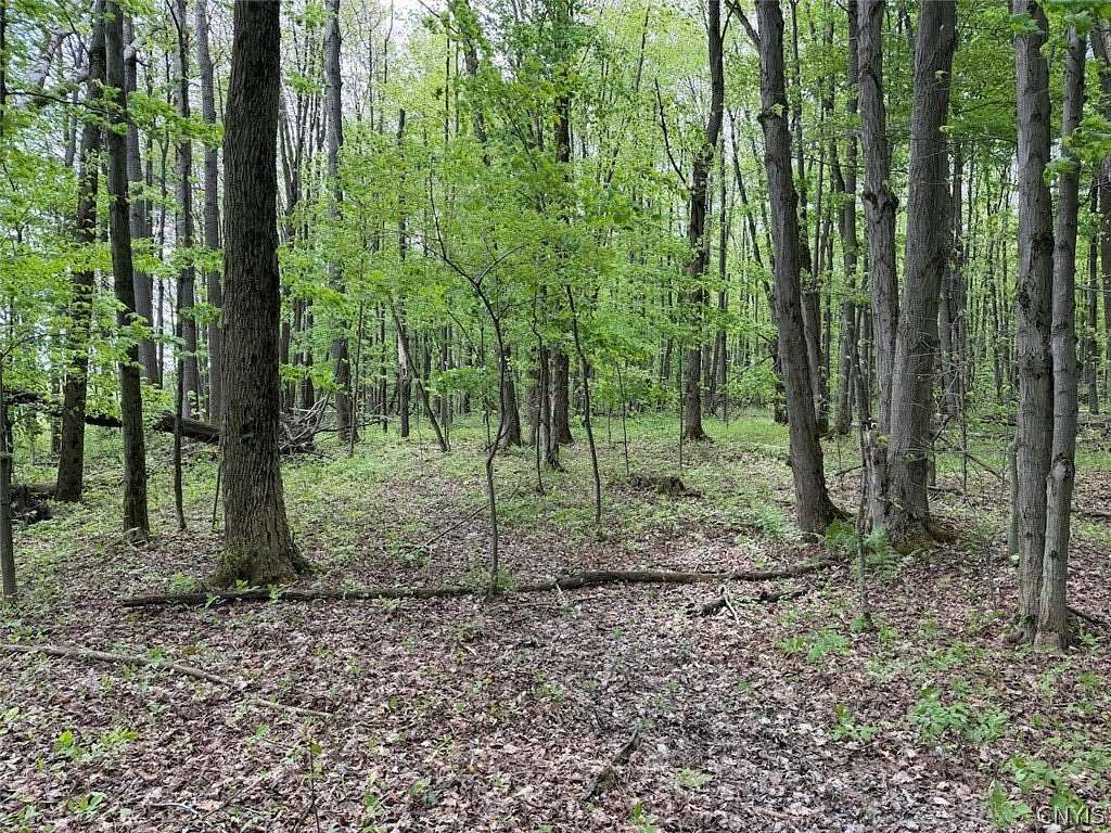 6.2 Acres of Land for Sale in South Dayton, New York