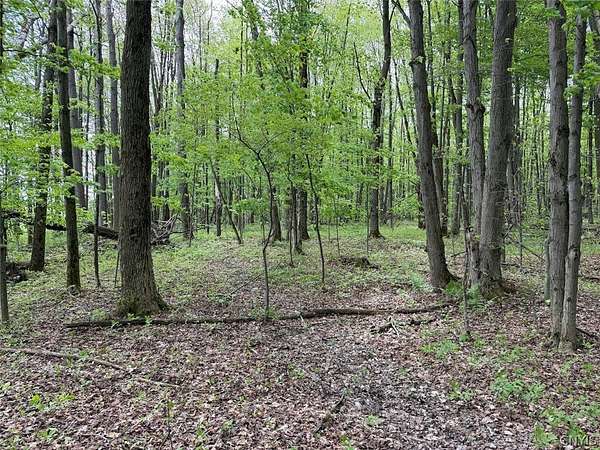 6.2 Acres of Land for Sale in South Dayton, New York