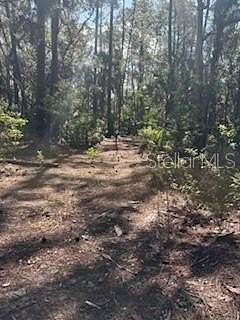 9.37 Acres of Residential Land for Sale in Umatilla, Florida