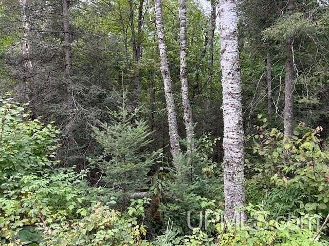 1.53 Acres of Residential Land for Sale in Fern Town, Wisconsin