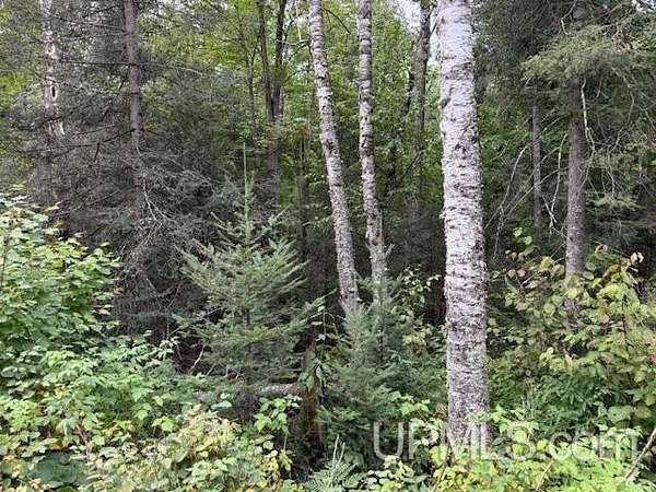 1.53 Acres of Residential Land for Sale in Fern Town, Wisconsin