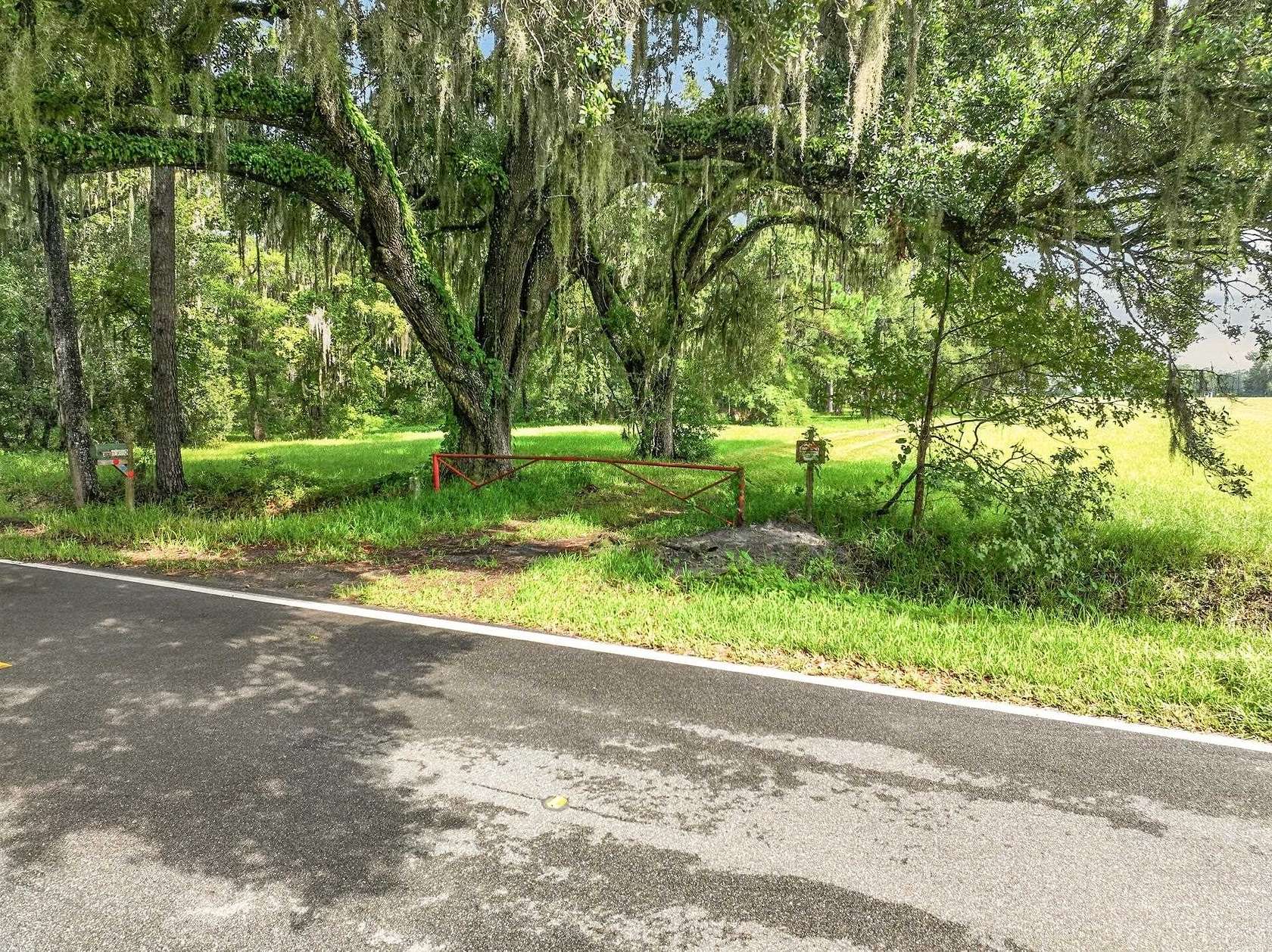 19.5 Acres of Land for Sale in Elkton, Florida