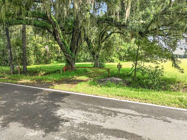 19.5 Acres of Land for Sale in Elkton, Florida