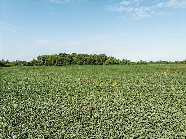 84.5 Acres of Recreational Land for Auction in Centerburg, Ohio