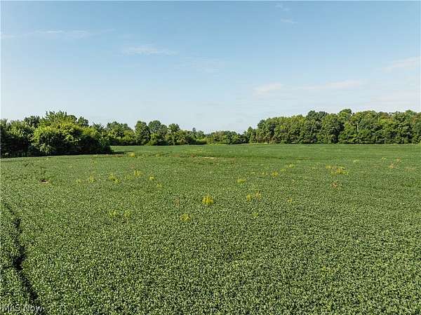 2 Acres of Land for Auction in Centerburg, Ohio