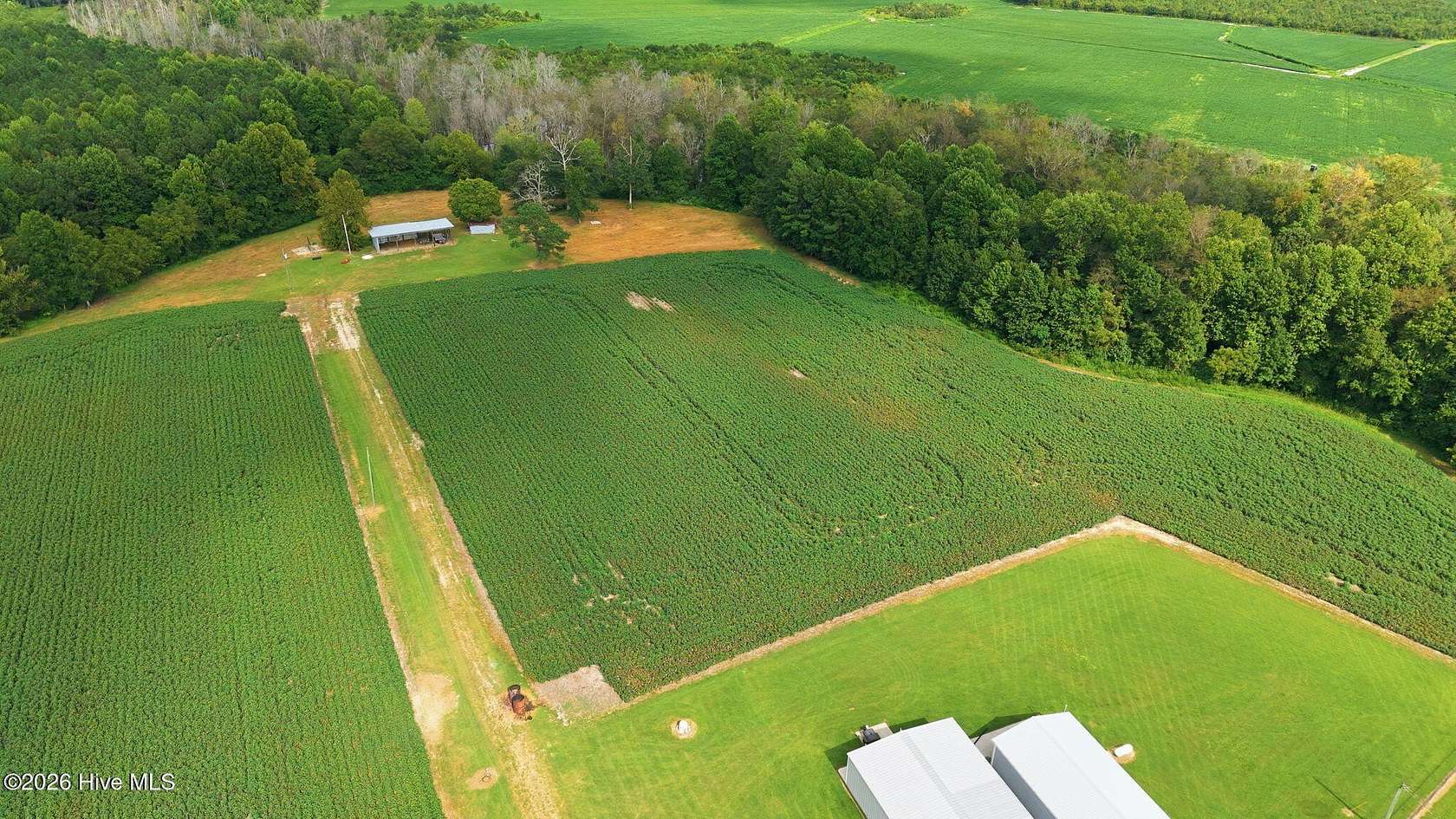 60.4 Acres of Land for Sale in Hobgood, North Carolina
