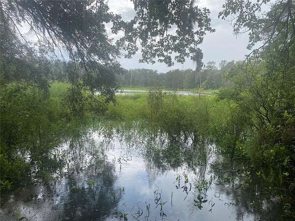 0.48 Acres of Residential Land for Sale in Gainesville, Florida