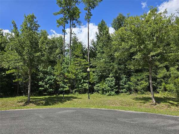 1.13 Acres of Residential Land for Sale in Gainesville, Florida
