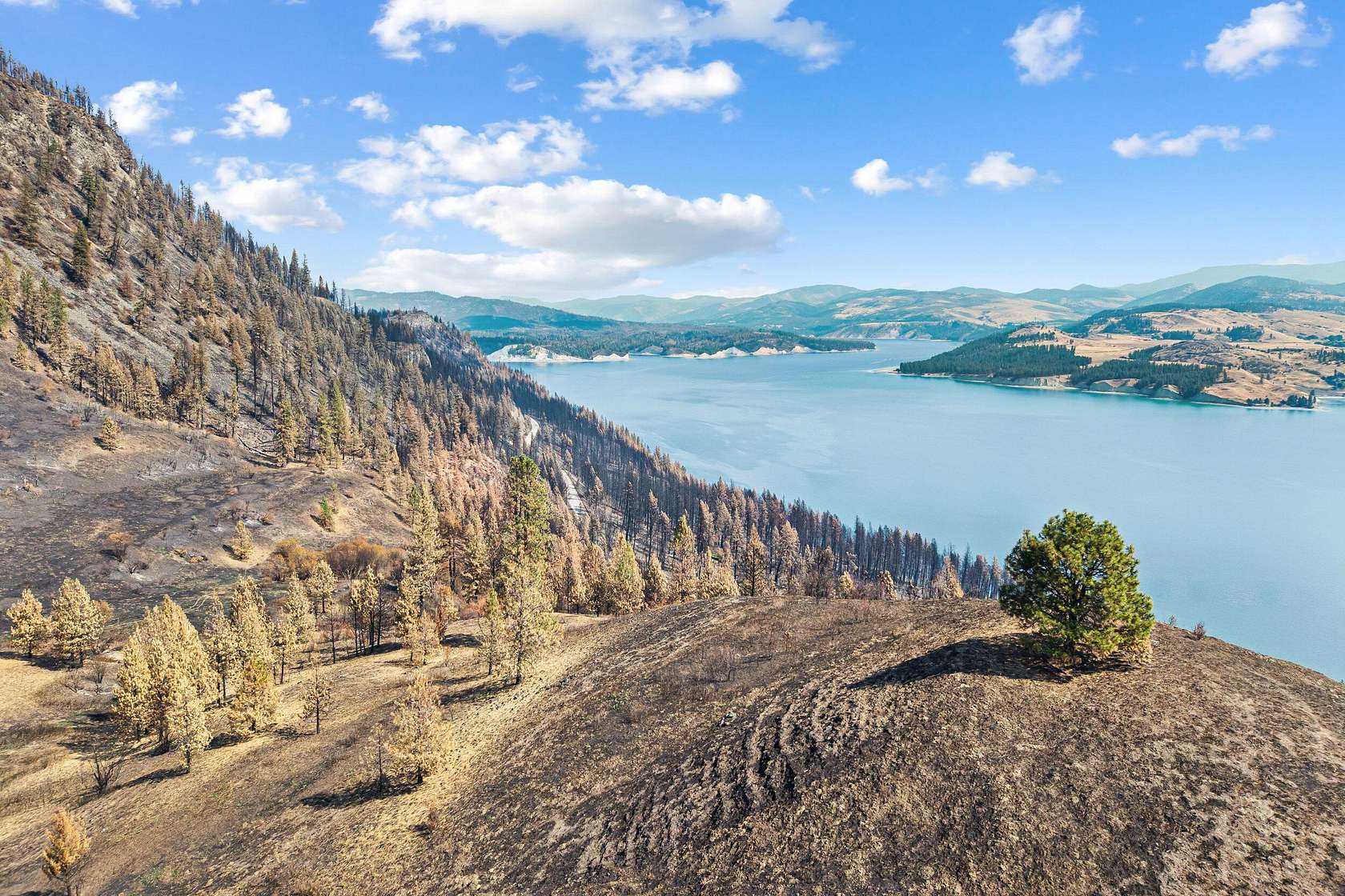 70 Acres of Land for Sale in Inchelium, Washington
