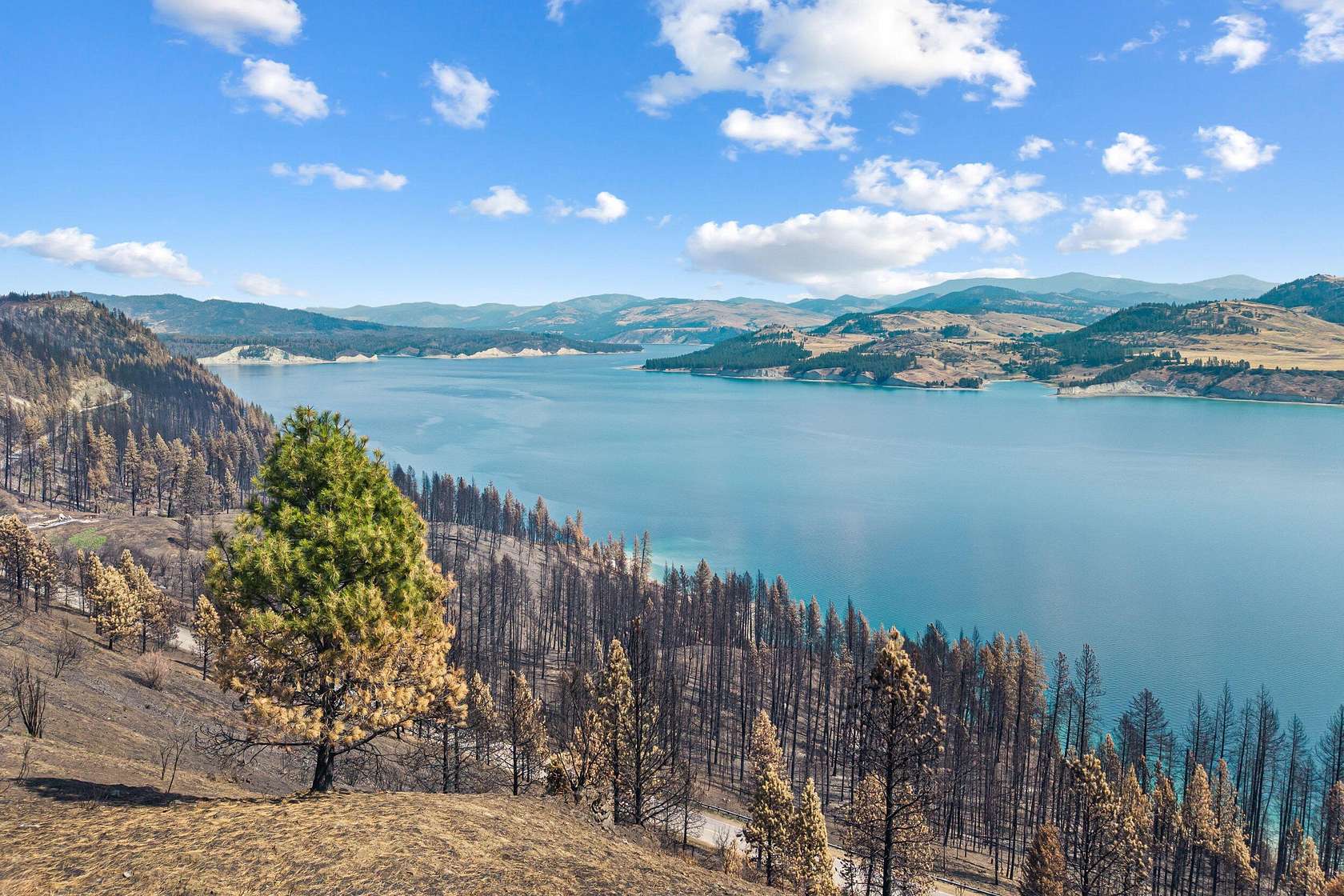70 Acres of Land for Sale in Inchelium, Washington