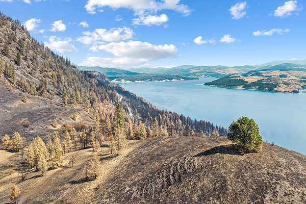 70 Acres of Land for Sale in Inchelium, Washington