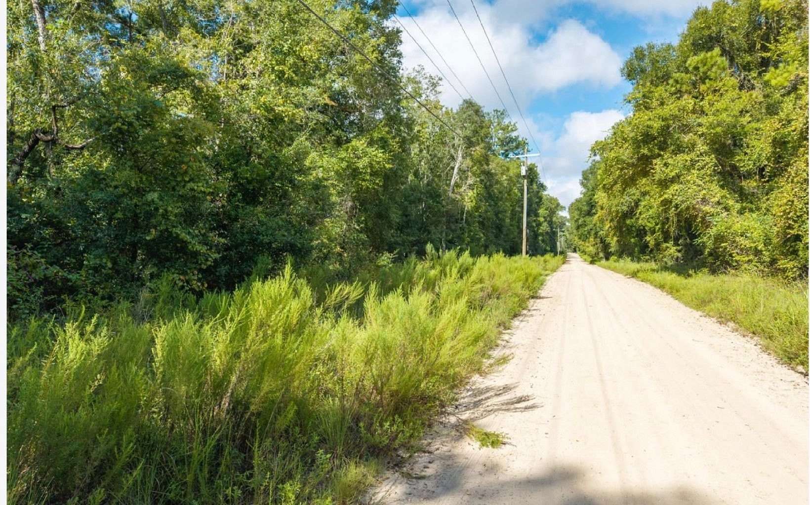 5 Acres of Land for Sale in O'Brien, Florida