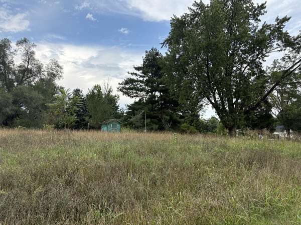 1 Acre of Land for Sale in Gobles, Michigan