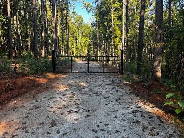 34 Acres of Recreational & Residential Land for Sale in Chappells, South Carolina
