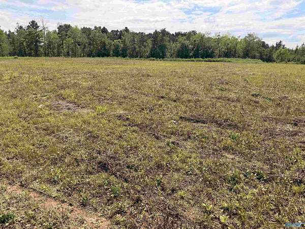 3.66 Acres of Land for Sale in Piedmont, Alabama