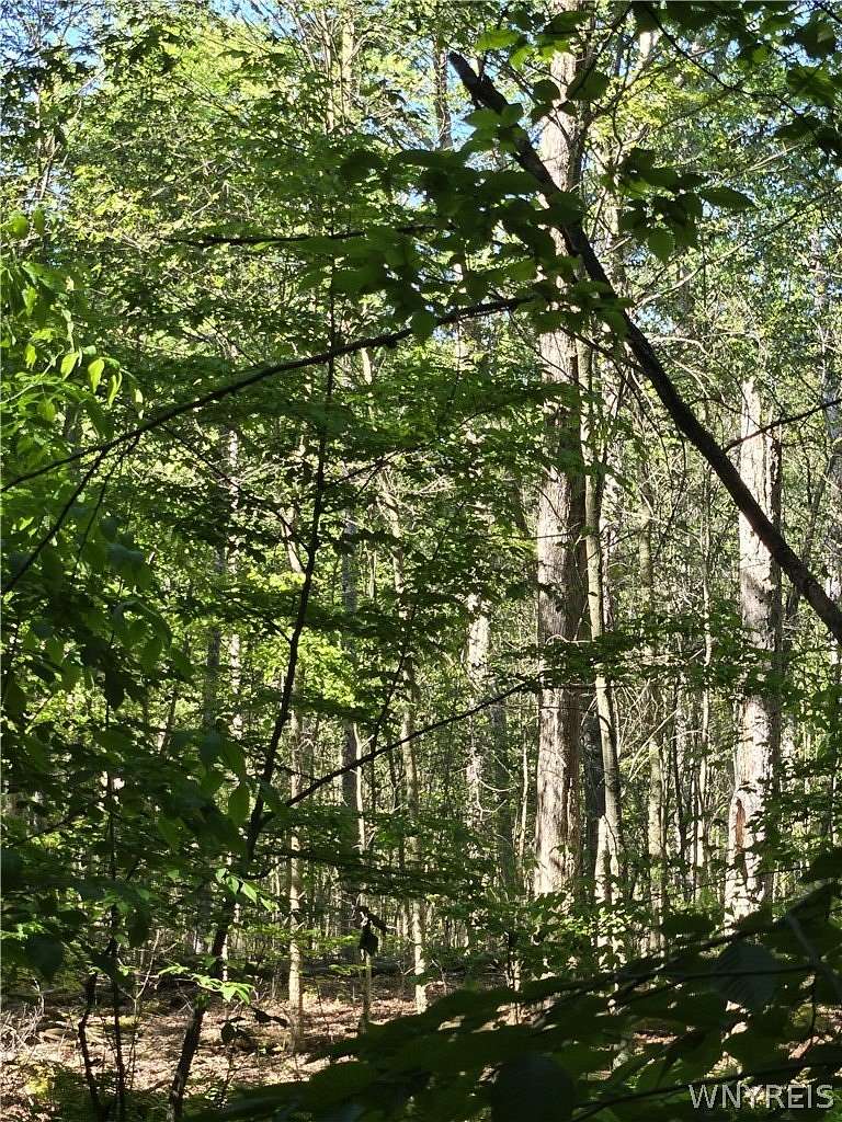 16.2 Acres of Land for Sale in Waterloo, New York