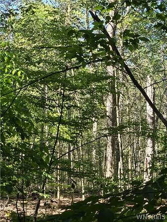 16.2 Acres of Land for Sale in Waterloo, New York