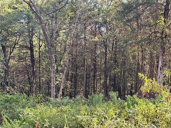6.5 Acres of Land for Sale in Magazine, Arkansas