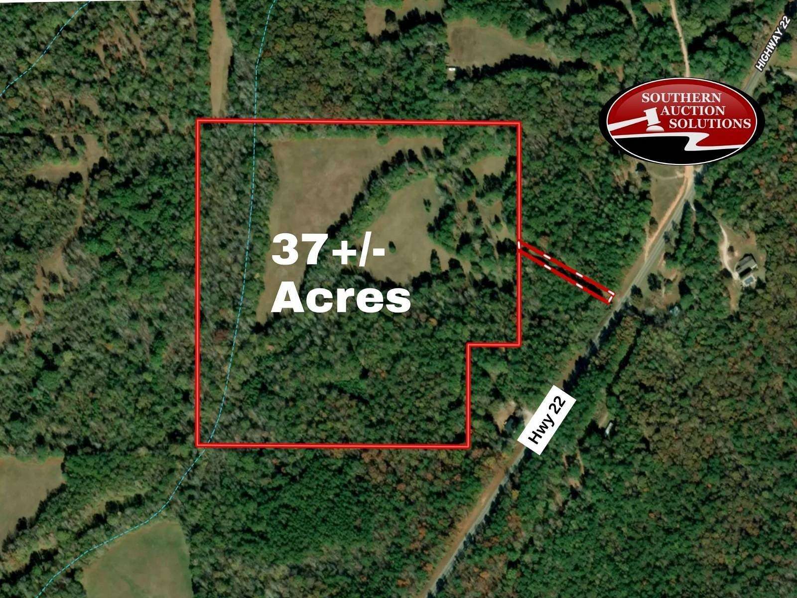 37 Acres of Land for Sale in Roanoke, Alabama