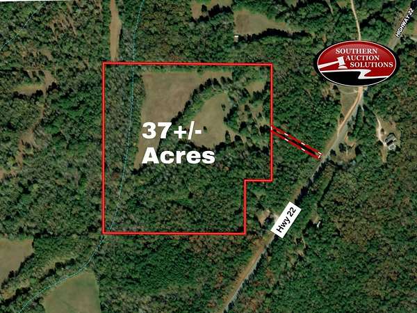 37 Acres of Land for Sale in Roanoke, Alabama
