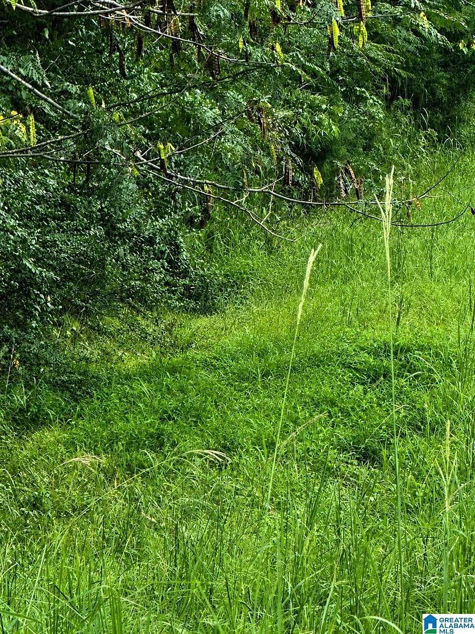 14.3 Acres of Land for Sale in Trafford, Alabama