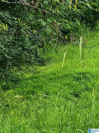14.3 Acres of Land for Sale in Trafford, Alabama