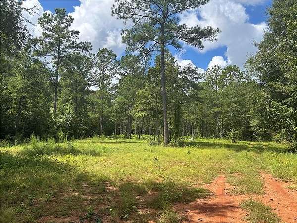32 Acres of Land for Sale in Cusseta, Alabama