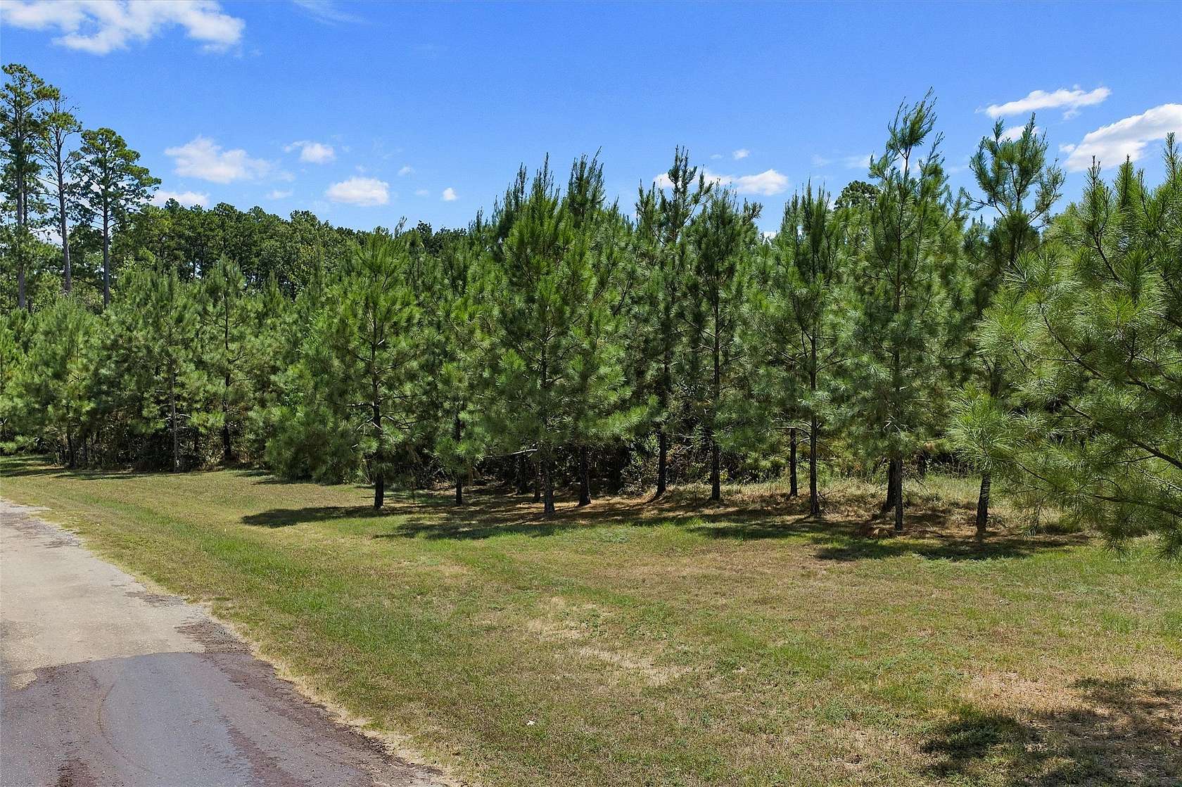 42 Acres of Land for Sale in Grand Cane, Louisiana