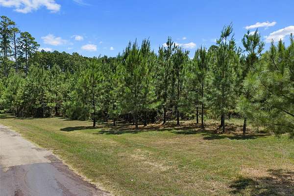 42 Acres of Land for Sale in Grand Cane, Louisiana