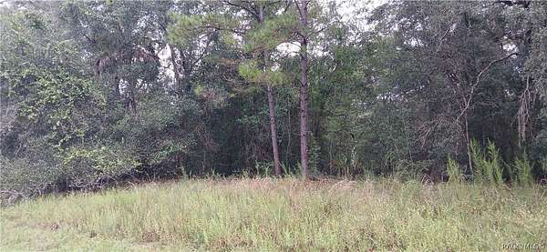 0.34 Acres of Land for Sale in Dunnellon, Florida