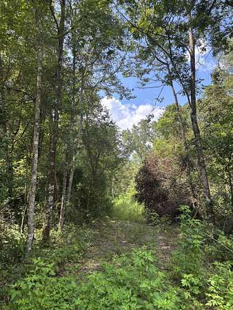 1 Acre of Land for Sale in Carrabelle, Florida