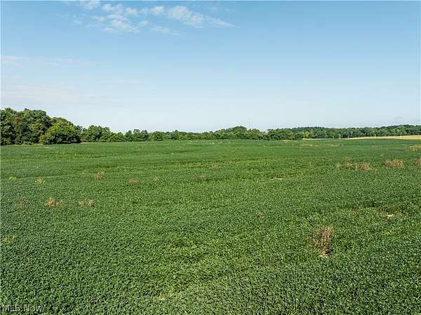3.2 Acres of Land for Auction in Centerburg, Ohio