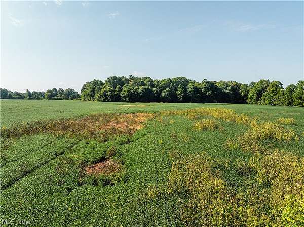 14.9 Acres of Land for Auction in Centerburg, Ohio