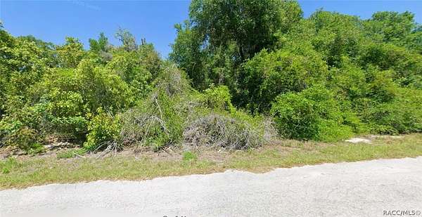 0.22 Acres of Residential Land for Sale in Hernando, Florida