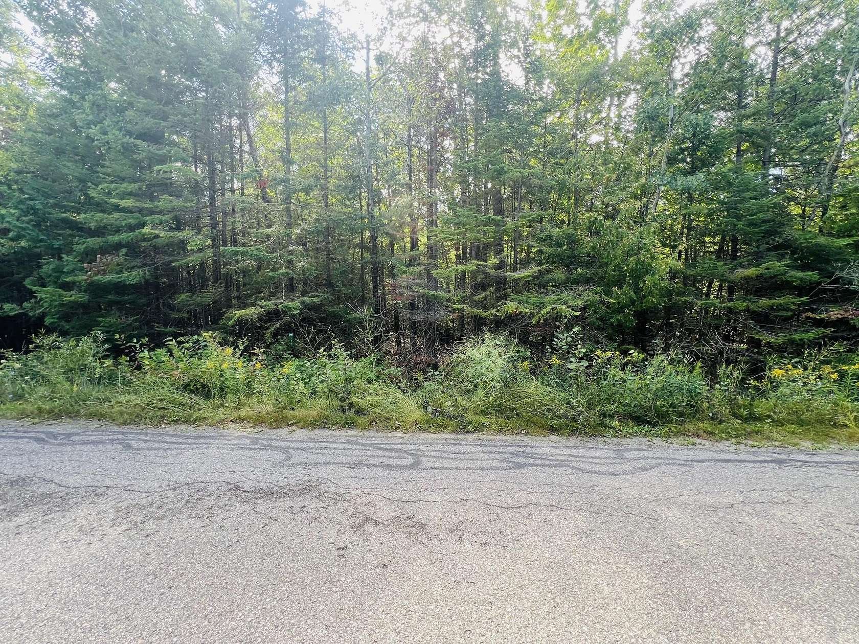 0.24 Acres of Residential Land for Sale in Cheboygan, Michigan