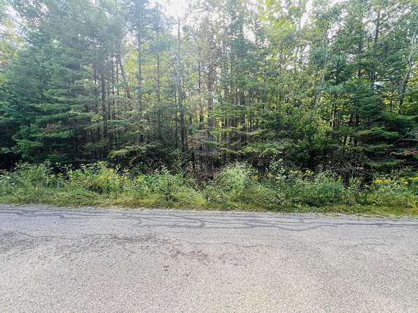 0.24 Acres of Residential Land for Sale in Cheboygan, Michigan