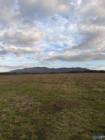 3.83 Acres of Land for Sale in Piedmont, Alabama