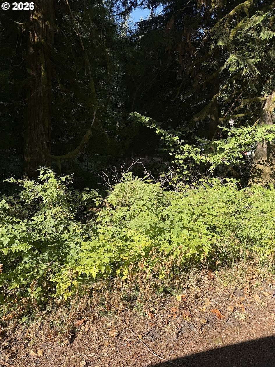 0.43 Acres of Land for Sale in Welches, Oregon
