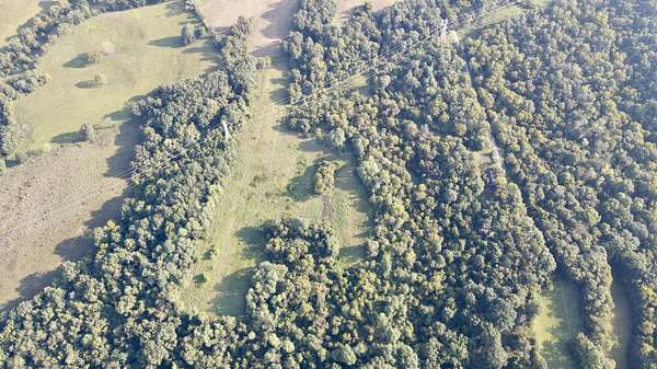 47 Acres of Land for Sale in Sanders, Kentucky
