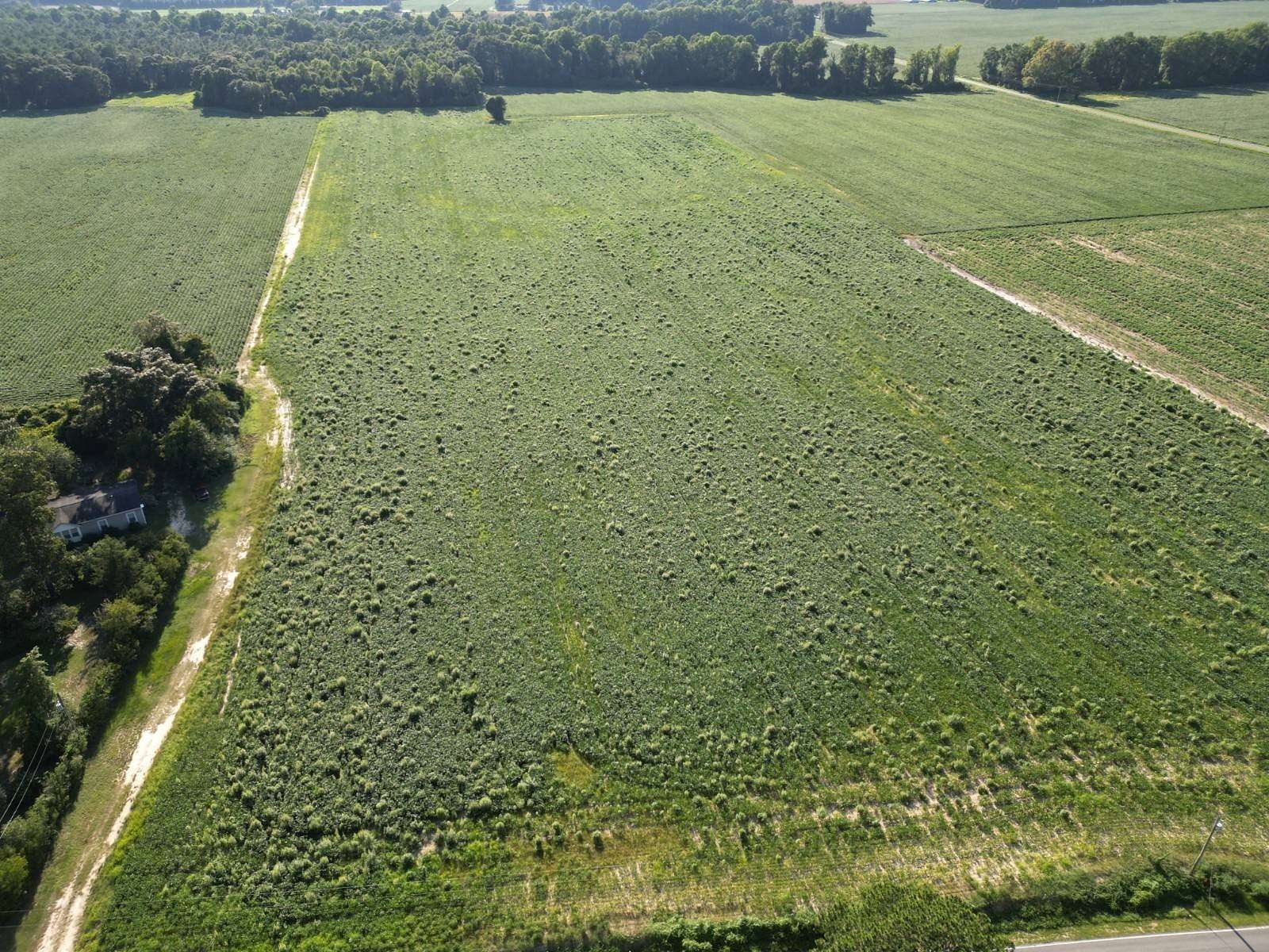 33.1 Acres of Land for Sale in Deep Run, North Carolina