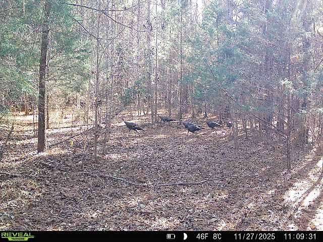 28.8 Acres of Recreational & Residential Land for Sale in Laurens, South Carolina