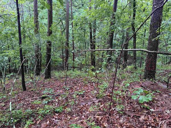 1 Acre of Residential Land for Sale in Hot Springs Village, Arkansas