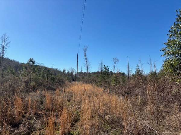 16 Acres of Recreational Land for Sale in Jones, Alabama
