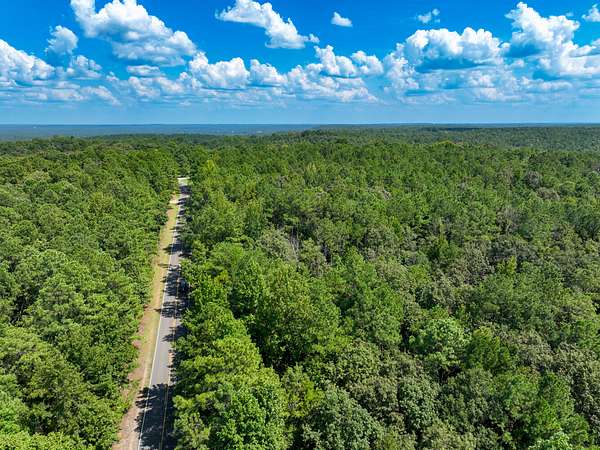 65 Acres of Recreational & Residential Land for Sale in Northport, Alabama