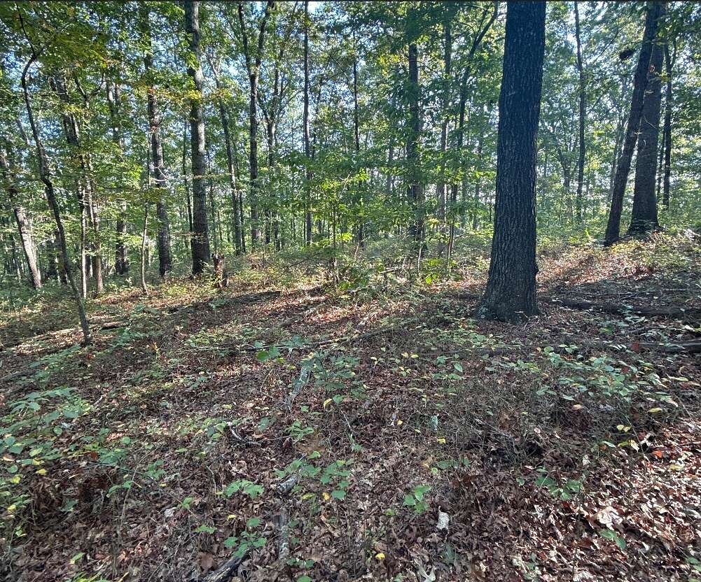 5 Acres of Residential Land for Sale in Waco, Georgia