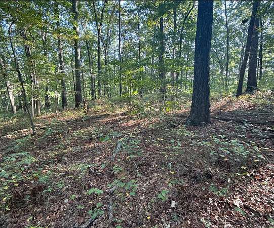 5 Acres of Residential Land for Sale in Waco, Georgia