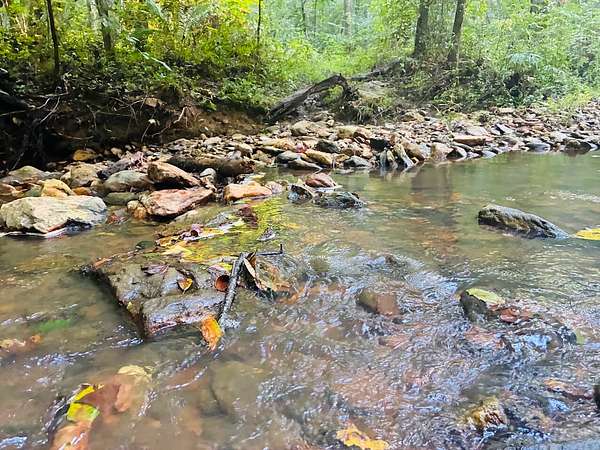 5.83 Acres of Residential Land for Sale in Waco, Georgia