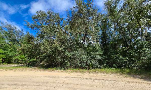 0.59 Acres of Residential Land for Sale in Interlachen, Florida