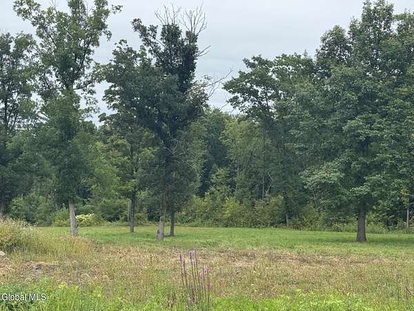 25.6 Acres of Land for Sale in Gansevoort, New York